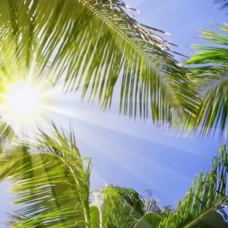 Relax & Enjoy - El Mocan - Mar *